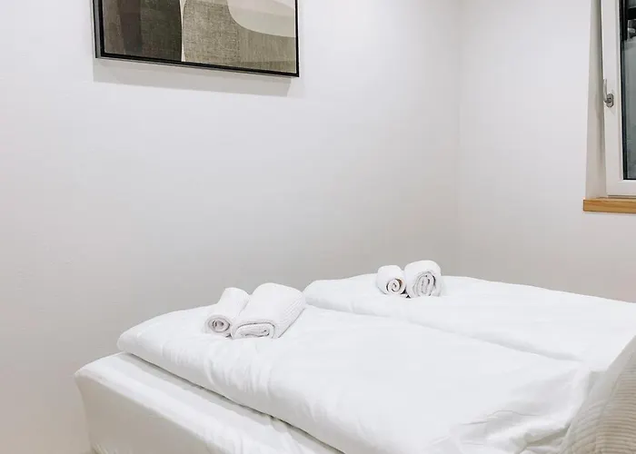 公寓 Doreyhome P3 - Modernes Charmantes 帕绍